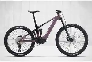 E-MTB Top Kategorie Damen