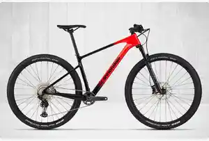 Hardtail Top Kategorie 29 Zoll