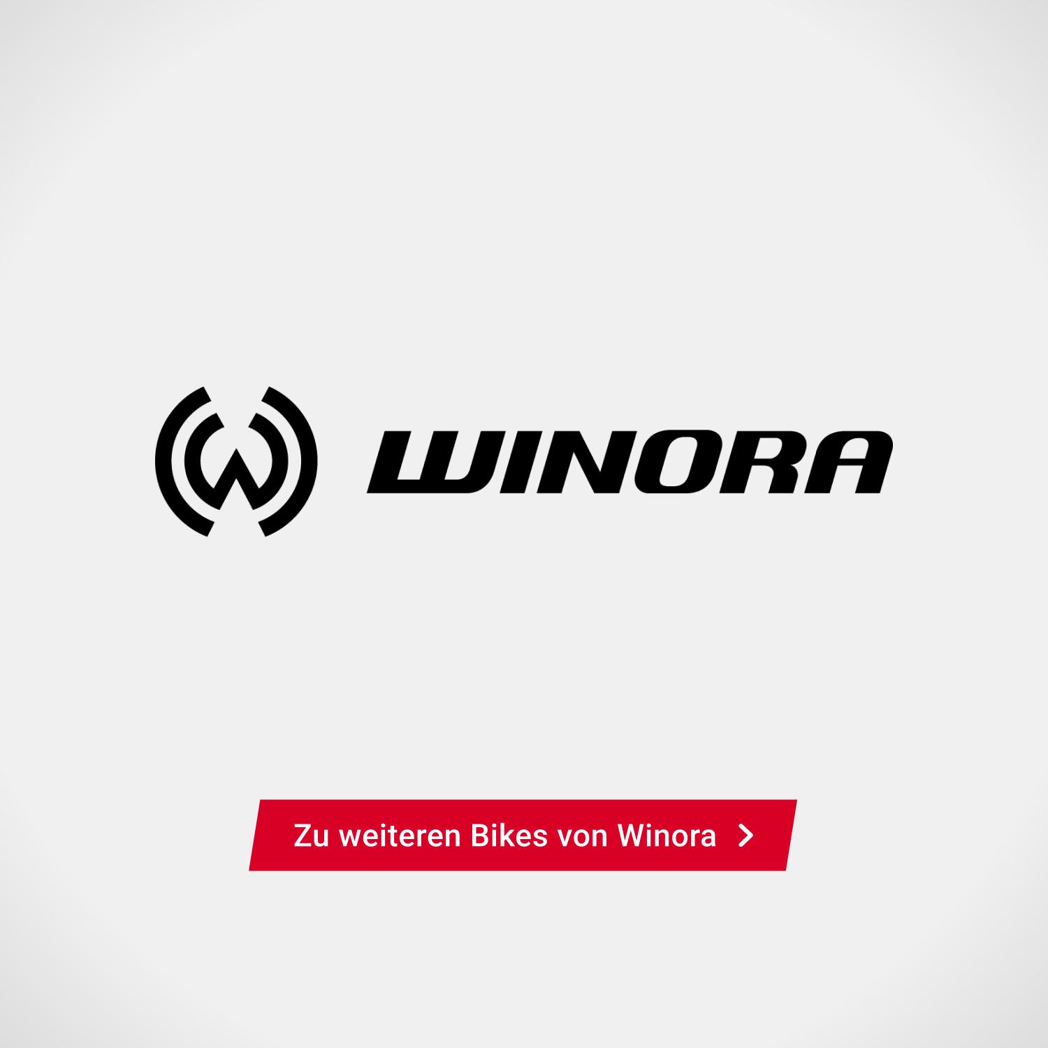 Zu weiteren Bikes von Winora