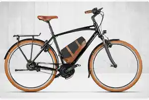 Riese und M&uuml;ller Cruiser Highlightkachel