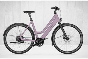 Riese und Müller E-Bike Damen Highlihgtkachel