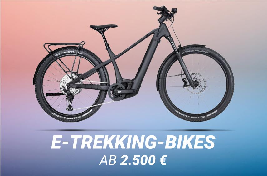 E-Trekking-Bikes ab 2500€