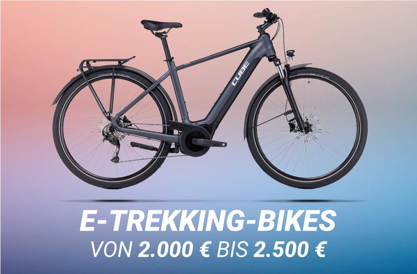 E-Trekking-Bikes bis 2500€