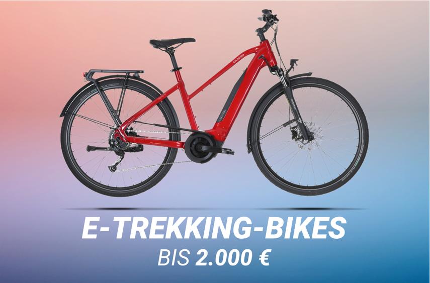 E-Trekking-Bikes bis 2000€
