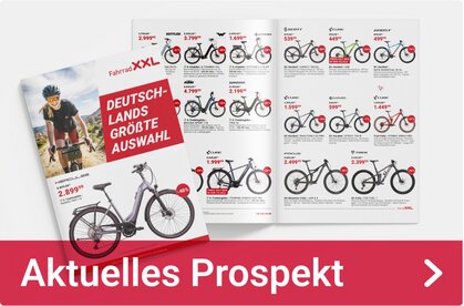 Prospektkachel Plankstadt Aktueller Prospekt