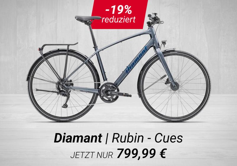 Zu den Trekking Bikes ab 2000&euro;