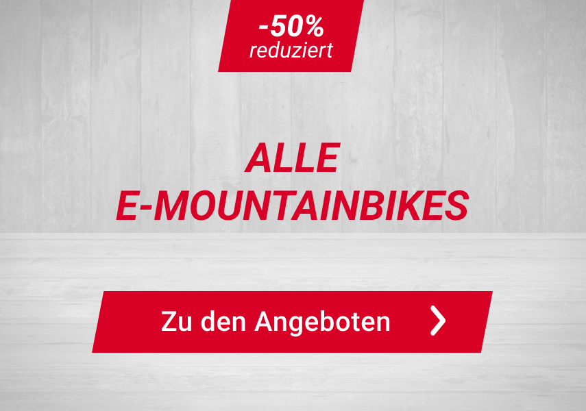 Zu allen E-MTBs