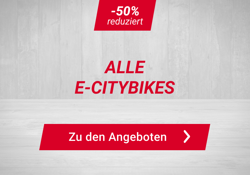 E-City-Bikes