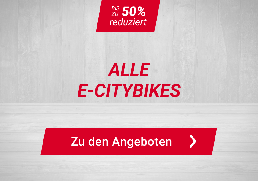 E-City-Bikes