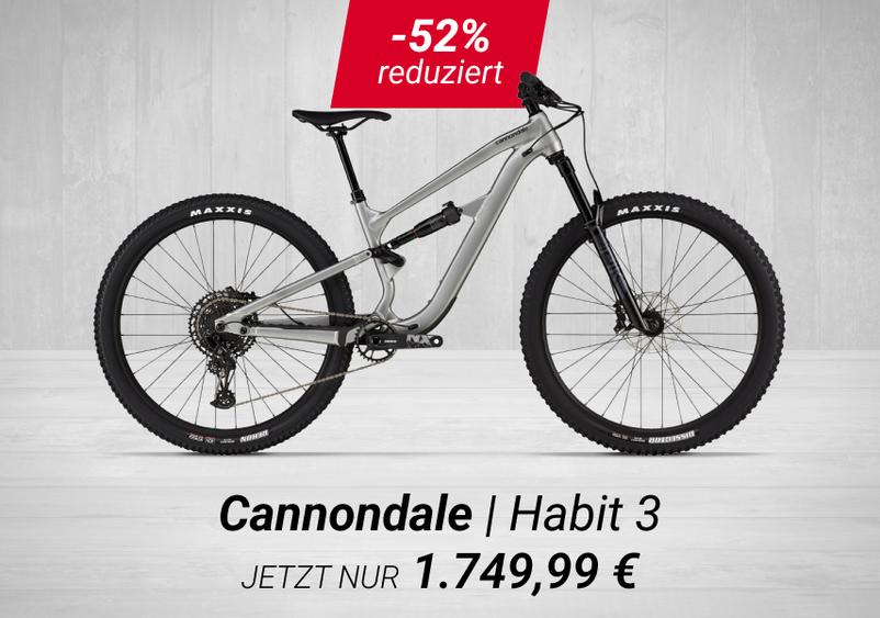 Mountainbikes bis 2000&euro;