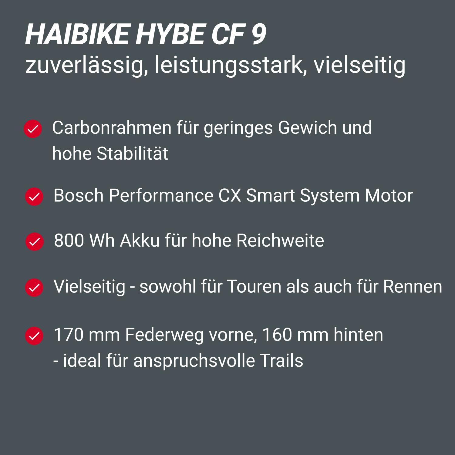 Haibike