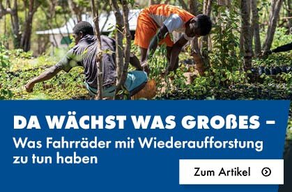 Dk5 Nachhaltigkeit Nachhaltige Artikel3