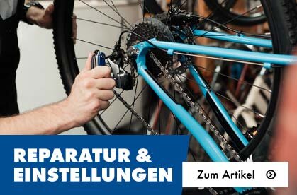Dk5 Nachhaltigkeit Pflege Artikel 4